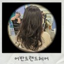 크리스탈 반려견미용실 | 애견동반 가능 수유역 미용실 어반트랜드헤어 빌드펌 후기