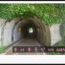 덕진-66 이미지