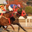 경부축산 이미지