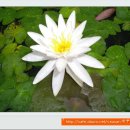 바우당구장 이미지