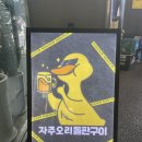 동백오리