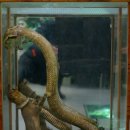 생태숲학습관 1층 이미지