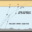 유인 이미지