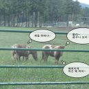 승엽목장 네이버블로그