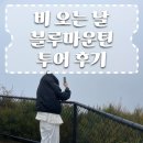 카페블루마운틴 | 시드니 블루마운틴 선셋 별보기 투어 후기! 비 오는 날은 어떨까?