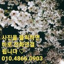 원앙주단 이미지