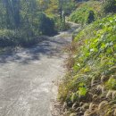 미소지음공인중개사사무소 이미지