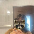 강아지미용실 정독 | 동해 미용실 ‘모디크헤어스튜디오' 다녀온 후기