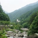 도계상동 이미지