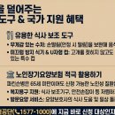 파킨슨병 환자 식사·삼킴 관리｜가족이 반드시 알아야 할 것들 (2026년)