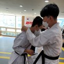 대한격투합기도 이미지