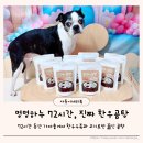 멍멍하누 이미지