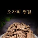 건재