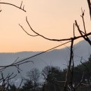 수성생활체육공원 이미지