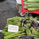 토요시장 | [필리핀] 마닐라 주말에 가볼 만한 곳, 마카티 살세도 토요시장 후기(과일, 음식, 기념품)