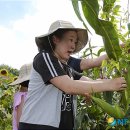 김상경 농장 이미지