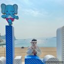 [사천 애견동반 여행] 사랑의 불시착 촬영지 &#39;대포 어촌체험마을&#39; &amp; 산책하기 좋은 &#39;남일대 해수욕장&#39;