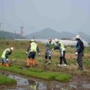 달빛동화마을 이미지