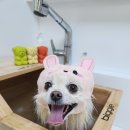 두리미용실 이미지