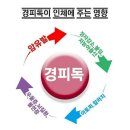 파파인 이미지