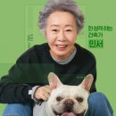 도그데이즈 이미지