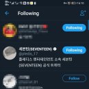 Coca-Cola Korean official account has followed many people includ SEVENTEEN official 이미지