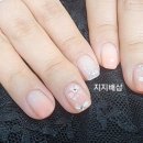 지지배샵 이미지