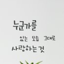 포미 이미지