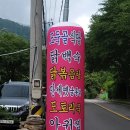 도둑골민박 이미지