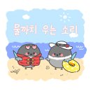 선우차유리 이미지