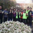 만수1동-7 이미지