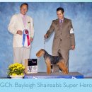 AKC's Weekly Winners Gallery - August 18, 2010 이미지