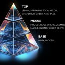 해미-호스릴-7 | 셀룰라이트 없애는 방법 씨엘라이트 셀룰라이트 호호바 오일로 관리한 후기👋