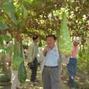 이병훈농장 이미지