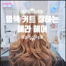 북구 화명동 커트 염색 잘하는 미용실 추천 (헤라헤어 9년째 단골 찐 후기)