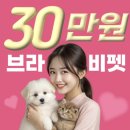 숲 동물병원 펫스테이션점 | 부산 강아지 분양 고민 중이라면? 부산 해운대 브라비펫 펫스테이션점 방문 후기