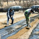 개토농장 이미지