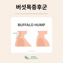 광혜병원 이미지