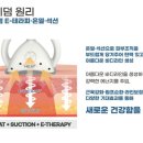 최프로 스킨 앤 바디 이미지