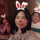 수목막걸리 이미지