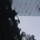 쎈트하우스