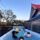 청남대풀빌라 | 청남대스테이풀빌라 6동