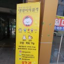 댕댕이의 품격 네이버블로그