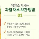 과일채소 이미지