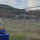 엄나무골농장 이미지