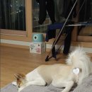 꿀잠 이미지