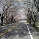 봄맞이 지리산 박투어 (4월18(토)-19(일) 이미지