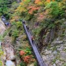 산오름 이미지