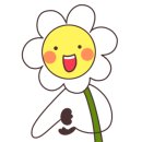 힐링원예협동조합 이미지