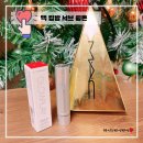 힐파크(구 샤넬파크) | 맥 글로우플레이 텐더토크 립밤 서브 웜톤에게 어울리는 애플레드